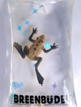 Breenbüdel 2.0 mit Frosch