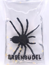 Breenbüdel 2.0 mit Spinne