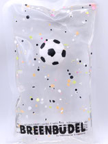 Breenbüdel 2.0 mit Fußball