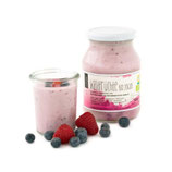 Bio Fruchtjoghurt Waldfrucht 500ml