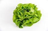 Häuptlsalat grün