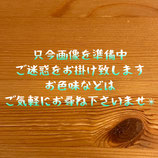 ビオレッタ シニョンズ