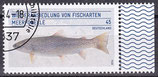 BRD 3120 gestempelt mit Bogenrand rechts