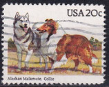 USA 1710 gestempelt