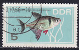 DDR 1221  philat. Stempel