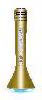 PartyMic "Gold/or"