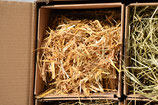 Testpaket Stroh / Einstreu