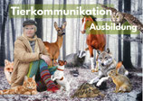 Tierkommunikations Seminar Teil 1 (Einzeln buchbar oder Ausbildungsplatz buchen)