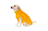 Hundebademantel Farbe amber