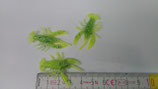 Crawfish 1'' (Krebs)