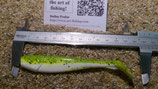 King Shad 05