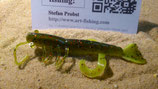 Shrimp 02