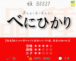 べにひかり［紅茶・雅］