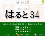 はると34［深蒸し茶・雅］