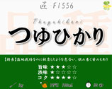 つゆひかり［深蒸し茶・匠］