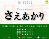 さえあかり［深蒸し茶・要］