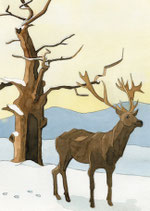 Hirsch im Winter