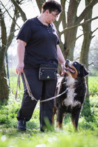 Basics - für Junghunde und erwachsene Hunde in Alpen