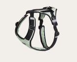 Geschirr, Farbe mint