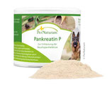 Pankreatin P