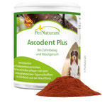 PerNaturam Ascodent Plus 50 g