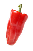 Spitzpaprika (rot)