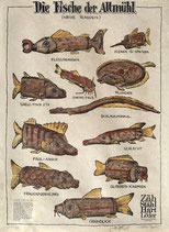 Poster "Die Fische der Altmühl"