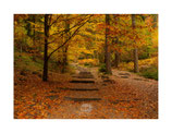 Herbststimmung in der Sächsischen Schweiz