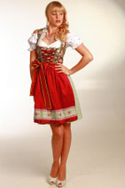 Fuchs rot