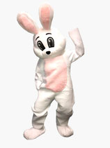 Hase weiss
