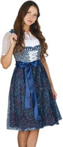 Fuchs blau