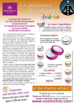 BOX 7 AIMANTS CHAKRAS