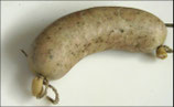 frische Weißwurst