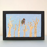 buzzard in tree