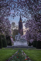 Magnolias