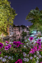 Fleurs