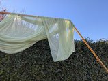 Traubogenstoff grün