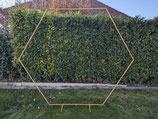 Traubogen Hexagon