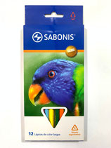 SABONIS Lapices de Colores Triangulares 12 (PT9010)