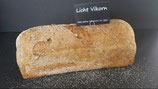 Vikorn (licht)