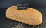 Sesambruin