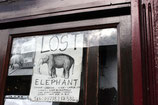 Postcard "Lost Elephant"