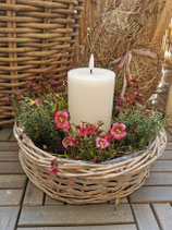 Pflanzring Weide D: 25cm
