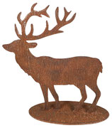 Hirsch Rost