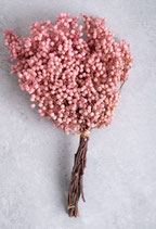 Pfefferbeeren rosa