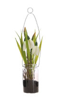 Schneeglöckchen Cami im Glas, H24cm, weiß
