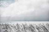 Der Tegernsee IIX // 2009