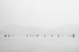 Der Tegernsee / Segelregatta #240 // 2024