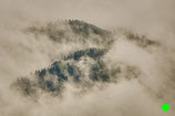 FINE ART // m 038 // 2012