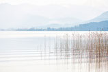 Der Tegernsee IV // 2009